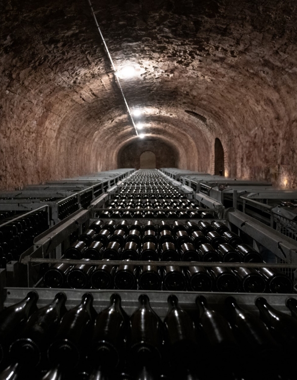 Cave Champagne Vautrain-Paulet